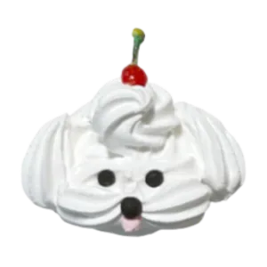 さくらんぼシーズー