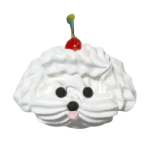 さくらんぼトイプードル