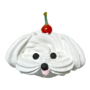さくらんぼマルチーズ