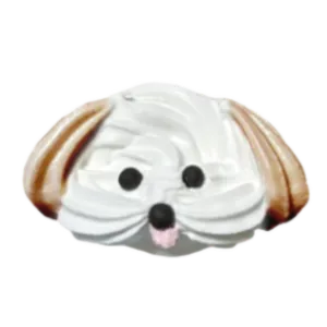 茶耳マルチーズ